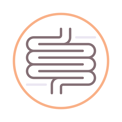 intestino Flaticons Lineal Color icono