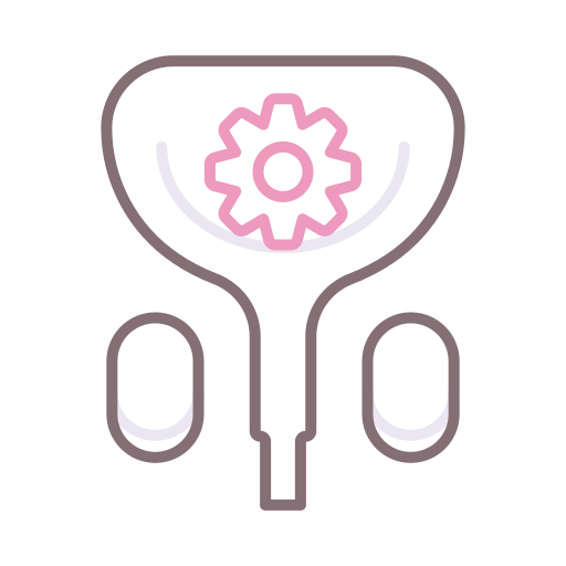 Urinary tract Flaticons Lineal Color icon