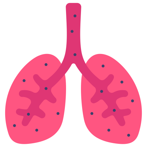 肺 Victoruler Flat icon