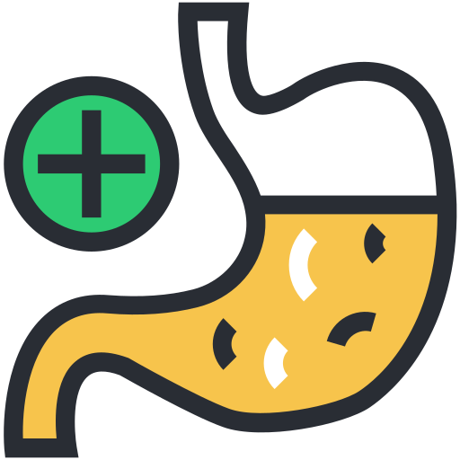 Stomach Generic Outline Color icon