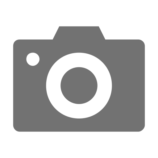 camera Generic Grey icoon