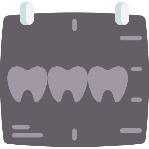 X ray Special Flat icon