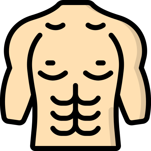 torso Basic Miscellany Lineal Color icona