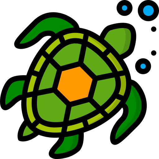 tartaruga Basic Miscellany Lineal Color icona