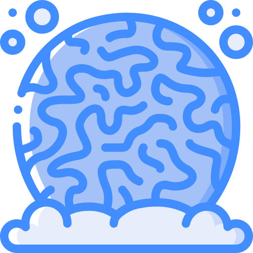 coral Basic Miscellany Blue icono