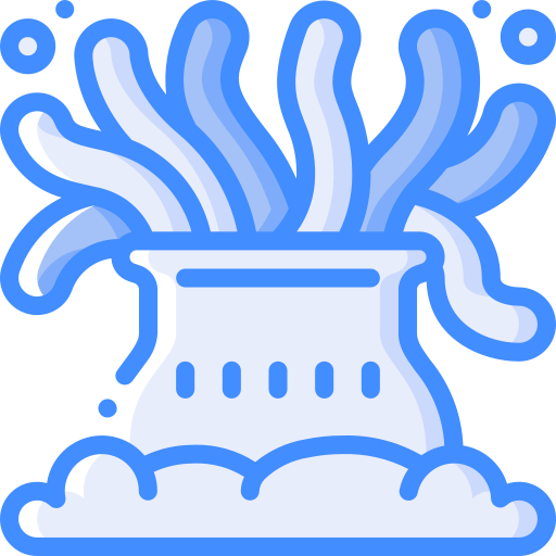 Coral Basic Miscellany Blue icon