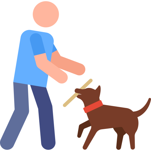 Play with pet Pictograms Colour icon