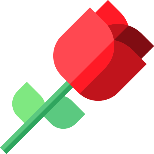 róża Basic Straight Flat ikona