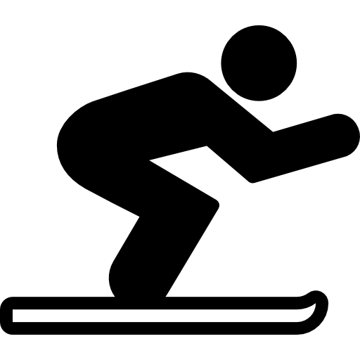 Skiing Basic Miscellany Fill icon