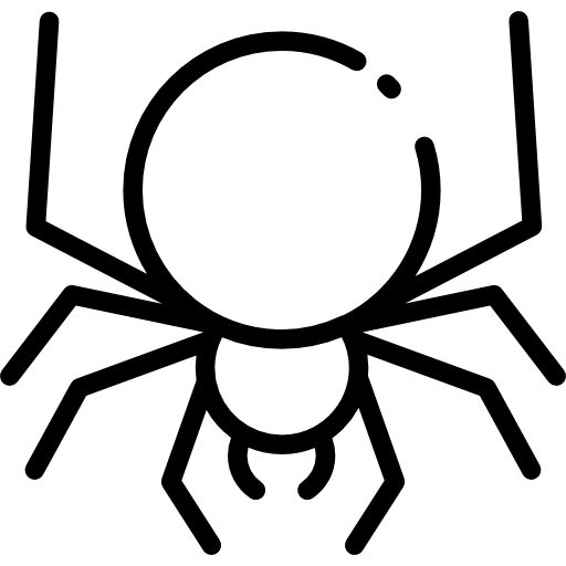 spinne Special Lineal icon