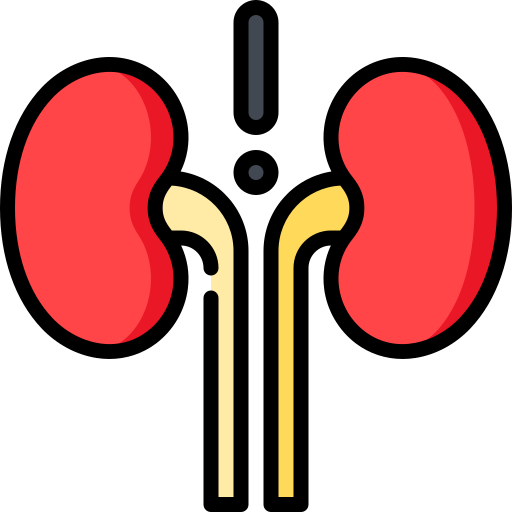 riñón Special Lineal color icono