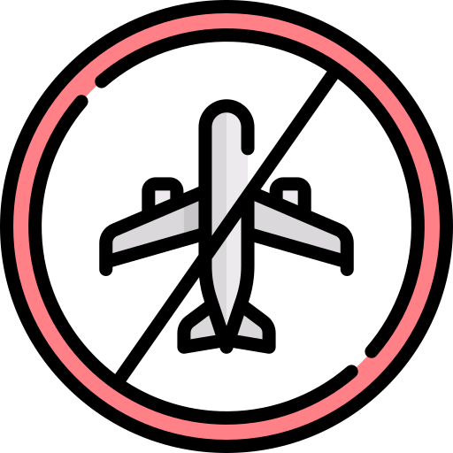 No flight Special Lineal color icon