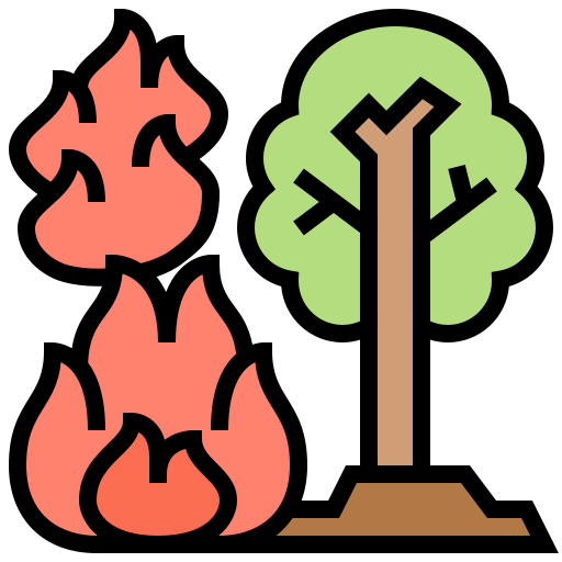 Forest fire Meticulous Lineal Color icon