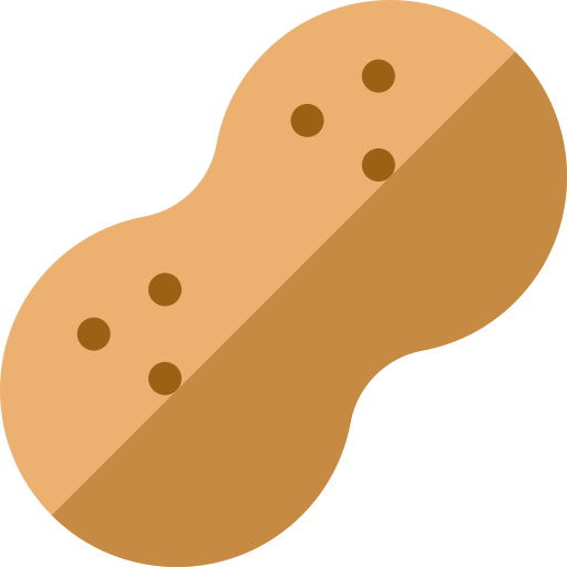 amendoim Basic Rounded Flat Ícone