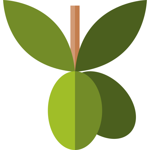 oliven Basic Straight Flat icon