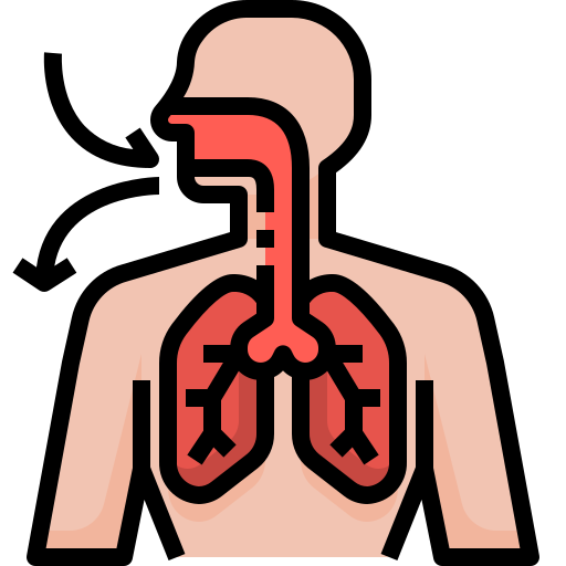 respiración Justicon Lineal Color icono