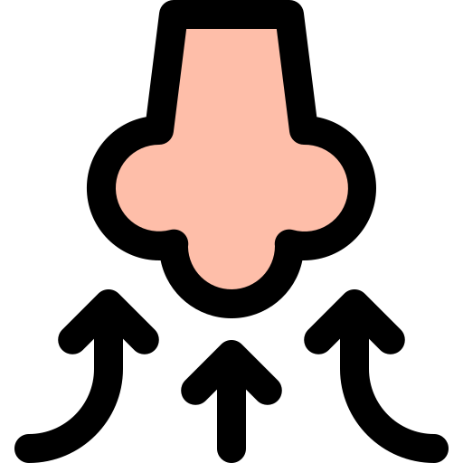 nariz Generic Outline Color icono