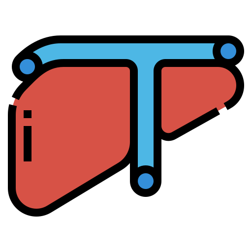 Liver Aphiradee (monkik) Lineal Color icon