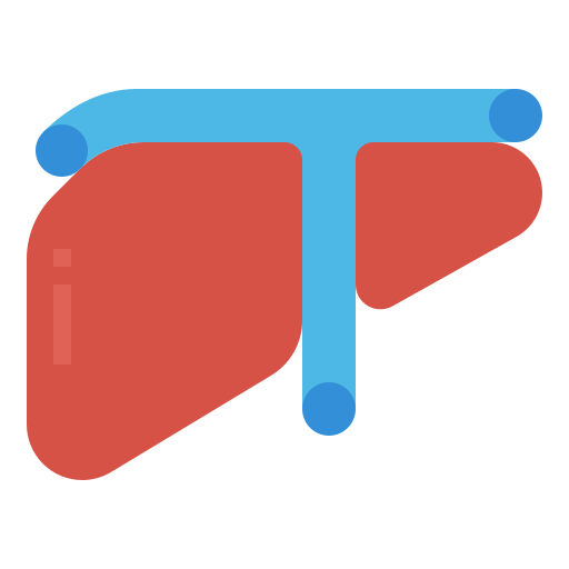肝臓 Aphiradee (monkik) Flat icon