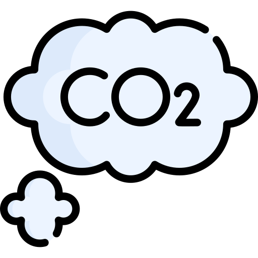 co2 Special Lineal color icon