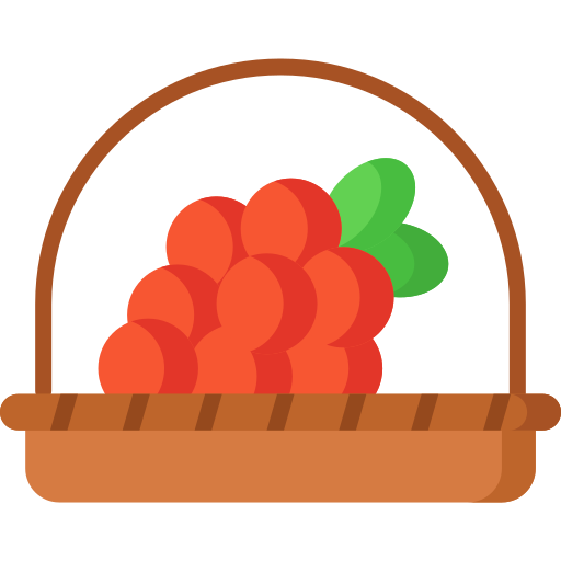 Grapes Special Flat icon