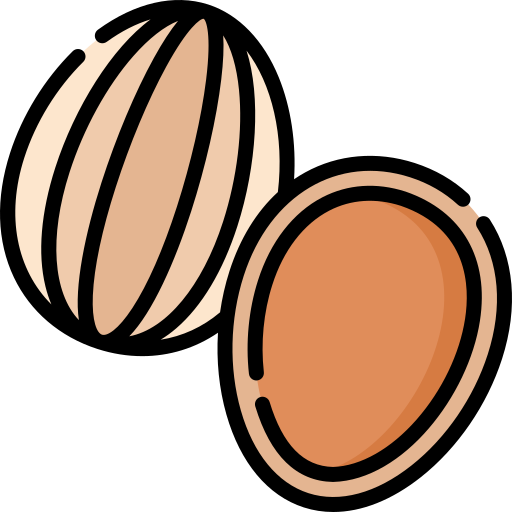 Almonds Special Lineal color icon