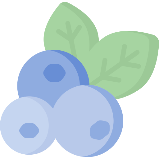 Blueberry Special Flat icon