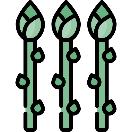 Asparagus Special Lineal color icon