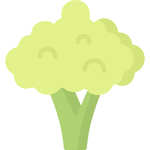 Broccoli Special Flat icon