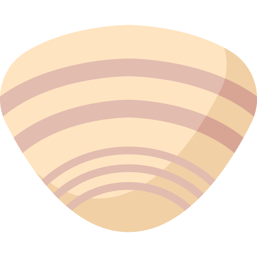 Clam Special Flat icon