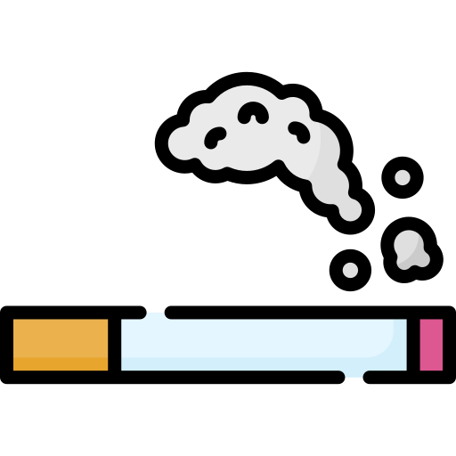 cigarrillo Special Lineal color icono