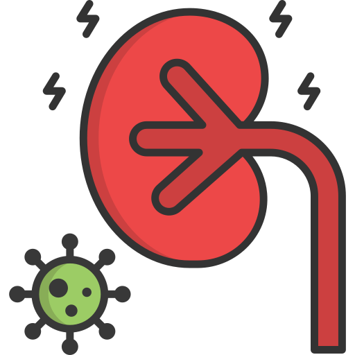 Kidney SBTS2018 Lineal Color icon