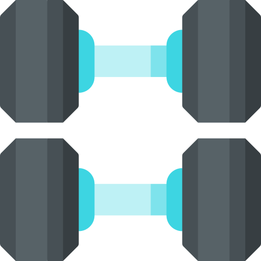 Dumbbells Special Flat icon