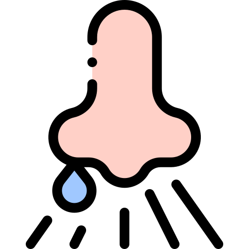 Runny nose Detailed Rounded Lineal color icon