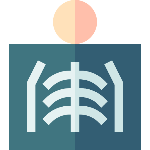 X ray Basic Straight Flat icon