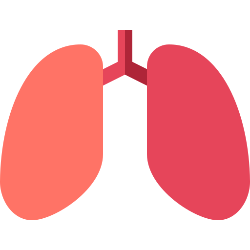 pulmões Basic Straight Flat Ícone