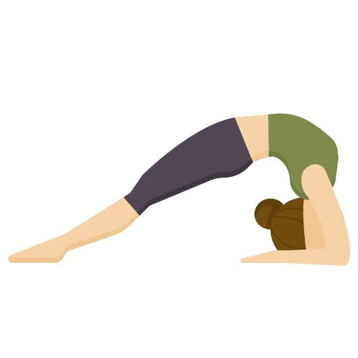 Yoga pose dDara Flat icon