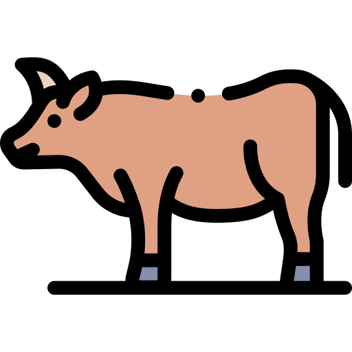 Buffalo Detailed Rounded Lineal color icon