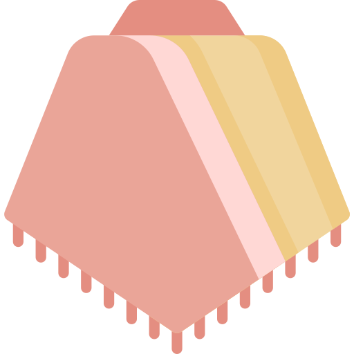 Poncho Special Flat icon