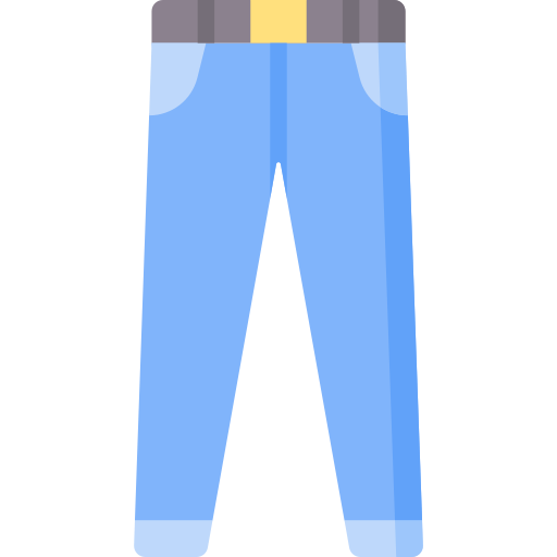 Pants Special Flat icon