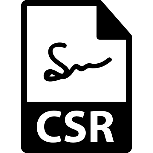 Формат файла csr  иконка