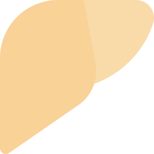 肝臓 SBTS2018 Flat icon