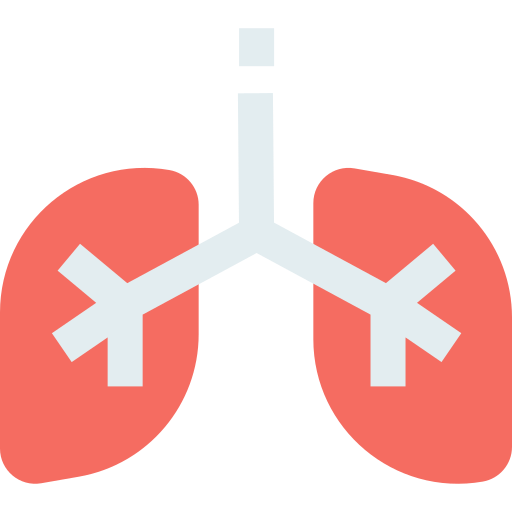 肺 SBTS2018 Flat icon