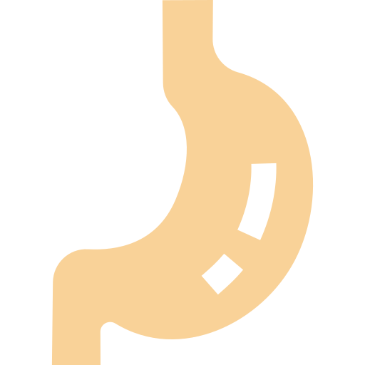 Żołądek SBTS2018 Flat ikona