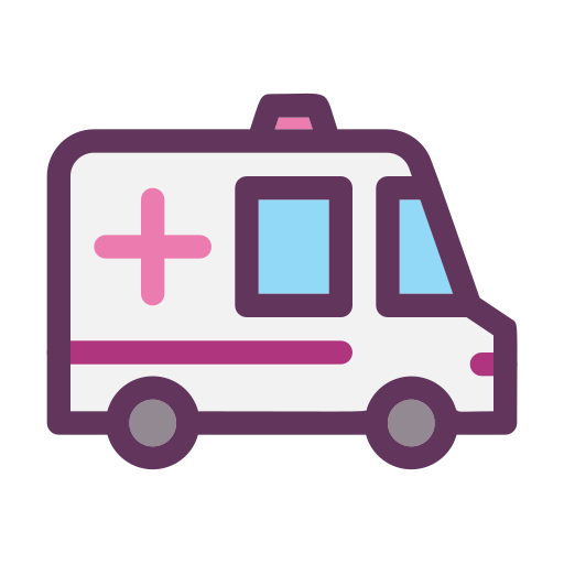 ambulance Generic Outline Color Icône
