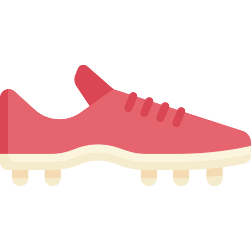 Cleats Special Flat icon