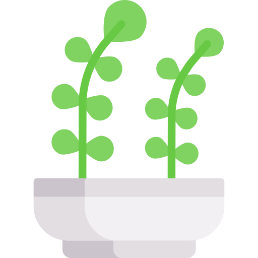 vaso de plantas Special Flat Ícone