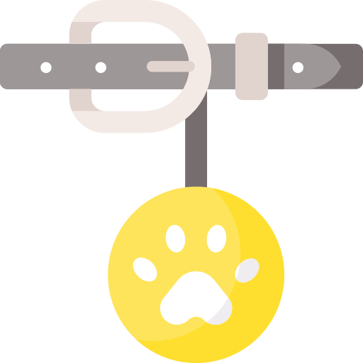 Dog collar Special Flat icon