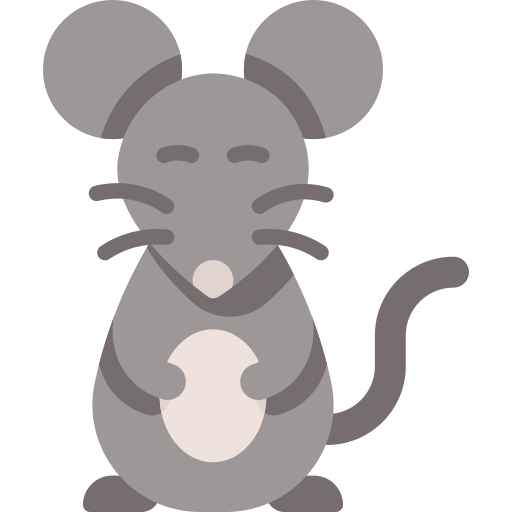 Rat Special Flat icon