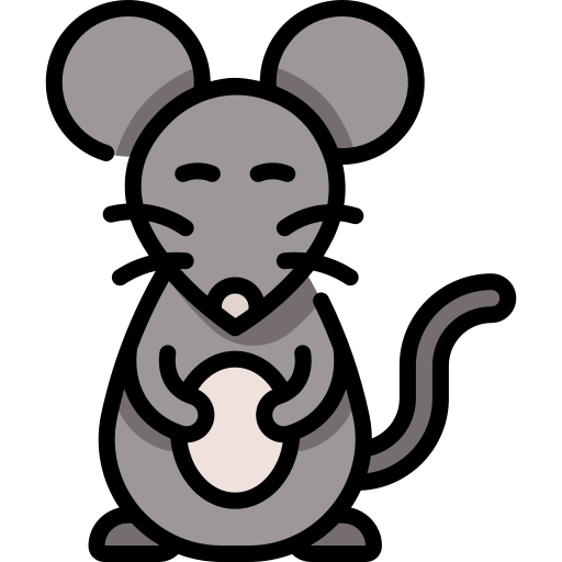 rat Special Lineal color Icône